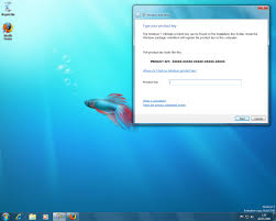 Windows 7 DNS Failure?
