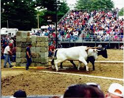 1996 � Deerfield Fair