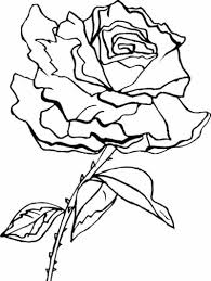 roses coloring pages