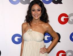 Emmanuel Chriqui hair