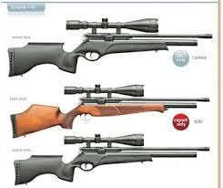 beretta air rifle