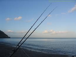 fishing rods
