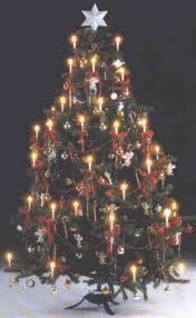 small christmas trees