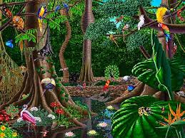 rainforest animal pictures