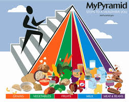 new food pyramid by 2010.