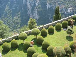 Garden - Provence - France