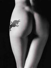 pictures taurus signs