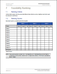 feasibility study example