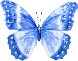 butterfly gif image