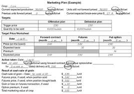 marketing plan example