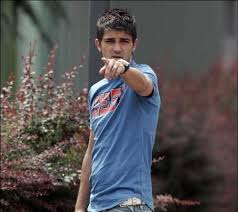 pictures david villa