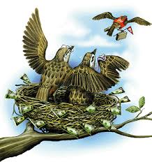 empty nest