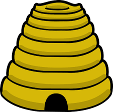 bee hive