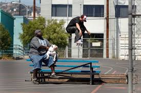 rob dyrdek skateboarder