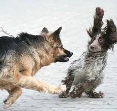 Fight or Flight response.. How will you respond?!