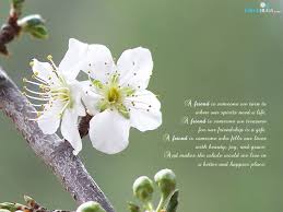 poem websites