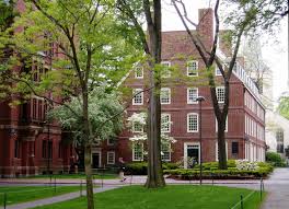 harvard university