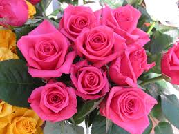 لغة الحوار بين المرأة والزهور....... Roses-wallpaper-roses-bouquets4315