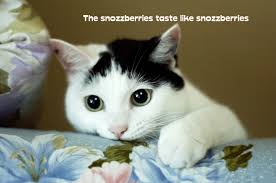 snozzberry, willywonka