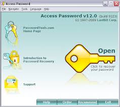 Access Password screen shot