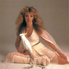 Mythbusters: Stevie Nicks