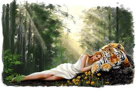 tiger wallpapers
