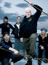 Sea Shepherd, rammings, sunken