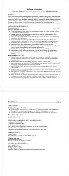 example resume format