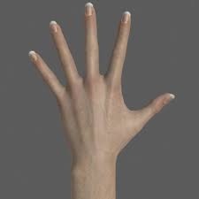 http://t2.gstatic.com/images?q=tbn:eepqS4bGIE-0KM:http://www.3magine.com/blog/wp-content/uploads/2009/04/female_hand.jpg&t=1