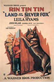 Land of the Silver Fox Poster