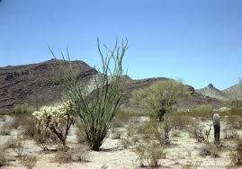 Craiglist Furniture In El Paso Tx Craiglist Furniture In El Paso Tx