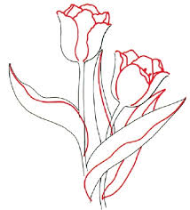how to draw tulips
