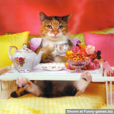 funny happy birthday