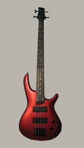 learn how to play bass guitar