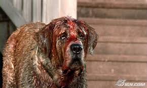 to say if Cujo is expertly