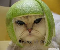 free funny pics