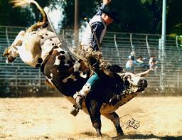 Rodeo Food Calorie Count