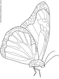 monarch butterfly coloring page