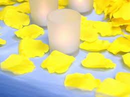 yellow rose petals