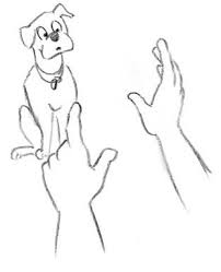 dog hand signals