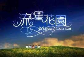 meteor garden