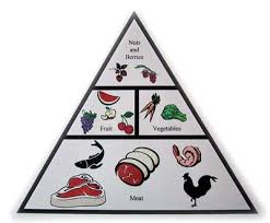 Is The Paleo Diet The BEST