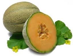 called a cantaloupe.