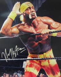 hulk hogan