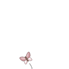 animated gifs butterflies