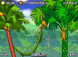 spider monkey