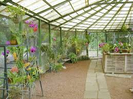 orchid gardening
