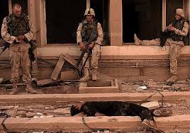 حدث في مثل هذا اليوم (8 تشرين الثاني/نوفمبر)(في 8 نوفمبر 2004 أكثر من عشرة آلاف جندي أمريكي مدعومون بالقوات الجوية يبدأون بحصار مدينة الفلوجة العراقية) Anti33