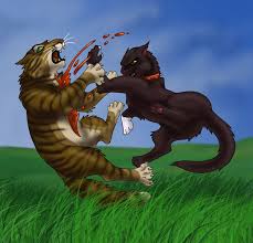 warrior cat scourge