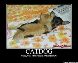 catdog